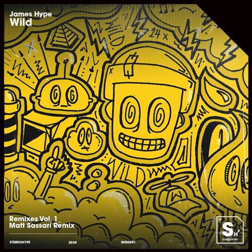 James Hype - Wild (Matt Sassari Remix)