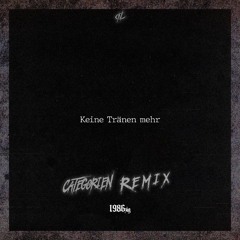 1986zig - Tränen (CategorieN Hardstyle Remix)