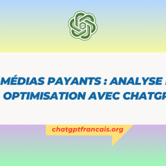 ChatGPT Gratuit - Médias payants : analyse et optimisation avec ChatGPT