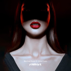 Matthew Karant ft. Jenna Evans- Animal