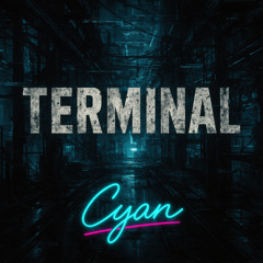 Terminal