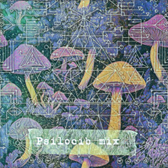 PSILOCIB SESSION