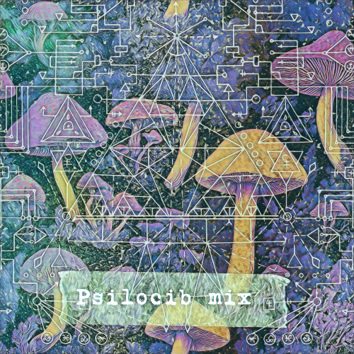 PSILOCIB SESSION