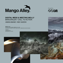 DIGITAL MESS & MEETING MOLLY Binauraler (Aman Anand Remix)