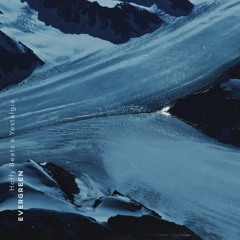 Hoffy Beats & Yestalgia - Evergreen (POLAR COMPILATION)