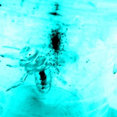 demo en beat de ERICK