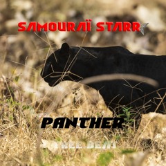 Panther | Free beat 2022 for Profit