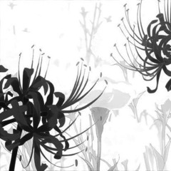 ты так и не видела