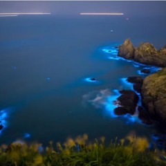 baltic illuminations