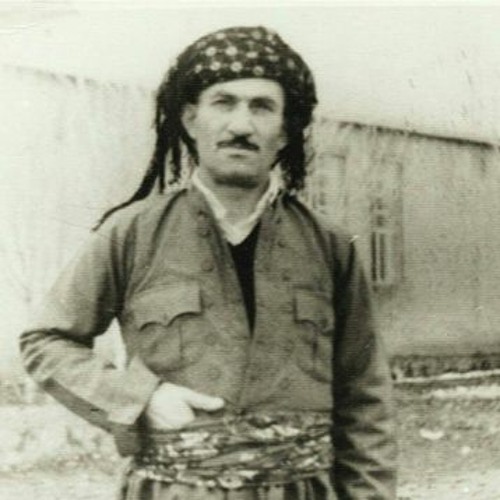 Gohari - Hasan Zirak | حسن زیرک - گوهری