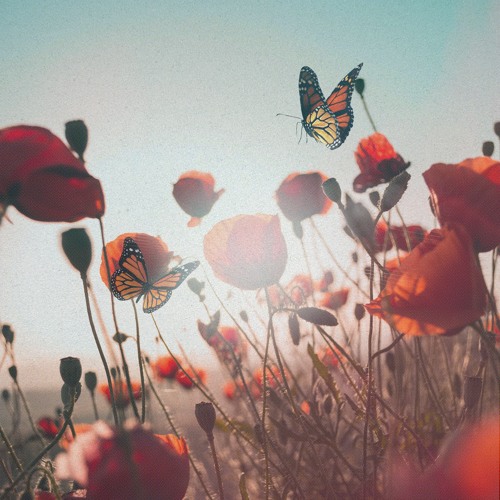 Unlike Pluto & Why Mona - Rewind