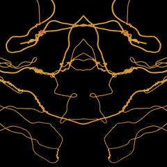 Year of the Fly (None of Your Concern Remix)