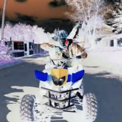 Hudba za milenku RARE 2016 BANGER