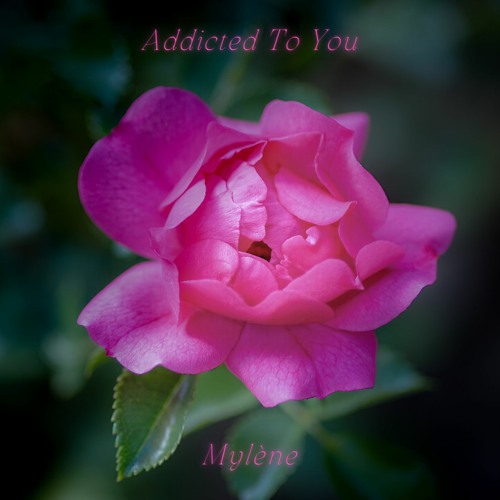 Addicted To You