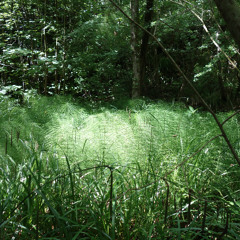 Prj9 ot h01 132