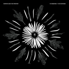 Fool's gold (To Redefine version)