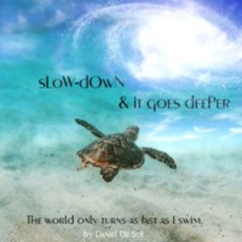 sLoW-dOwN & it goes deeper by Daniel De Sol