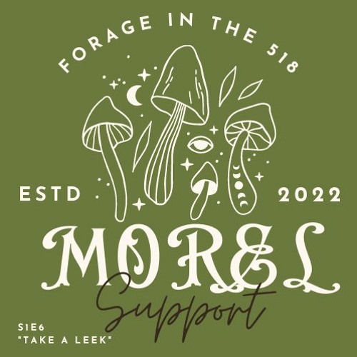 Morel Support: Take a Leek