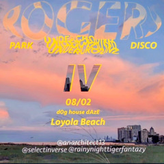 Rogers Park Underground Disco IV (Beach Set / 8.2.25)