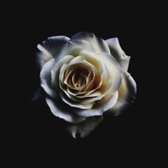 Black is the Colour