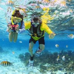 Best Places To Snorkel In Grand Cayman Prices Reviews