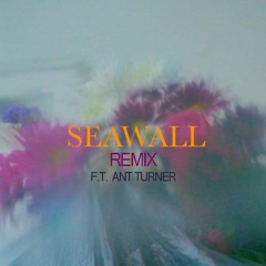 Neev Seawall Remix Ft Ant Turner