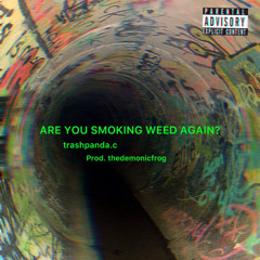 ARE YOU SMOKING WEED AGAIN? #420 prod. thedemonicfrog -thetrashpanda.c