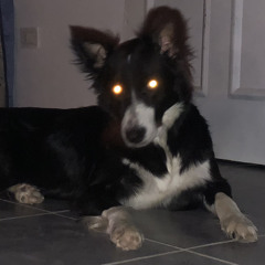 y q vas a hacer x kibbyTBU