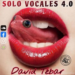 SOLO VOCALES 4.0