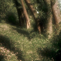 No Trace