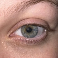 Chameleon Eyes