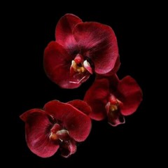 MAKE IT RIGHT MIX 25