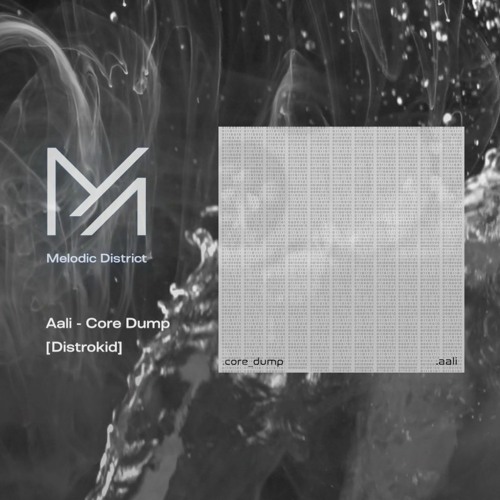 PREMIERE: Aali - Core Dump [Distrokid]