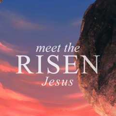 "Meet the Risen Jesus: Change of Plans" (May 12, 2024) w/ Vern Collins