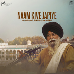 Naam Kive Japiye