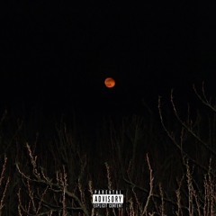 I Look Like A Fool To You