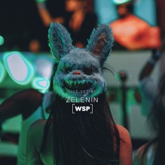 ZELENIN - Live DJ Set (Indie Dance, Afro House Mix) WSP 2025)