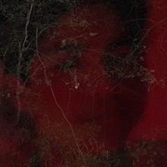 phone.wav (demo)