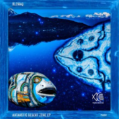 BLOMAQ - Antarctic Desert (Oldschool Dubtechno .Producer Arctic Dub)