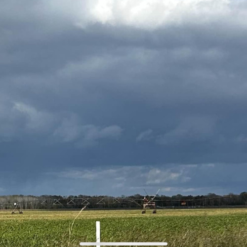 looks fine from here