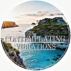 Contemplating Vibrations [#05] Paranoid SouL