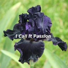 I Call It Passion
