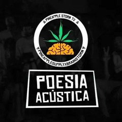 TODAS AS POESIAS ACÚSTICAS 1 A 13 - POESIA ACUSTICA