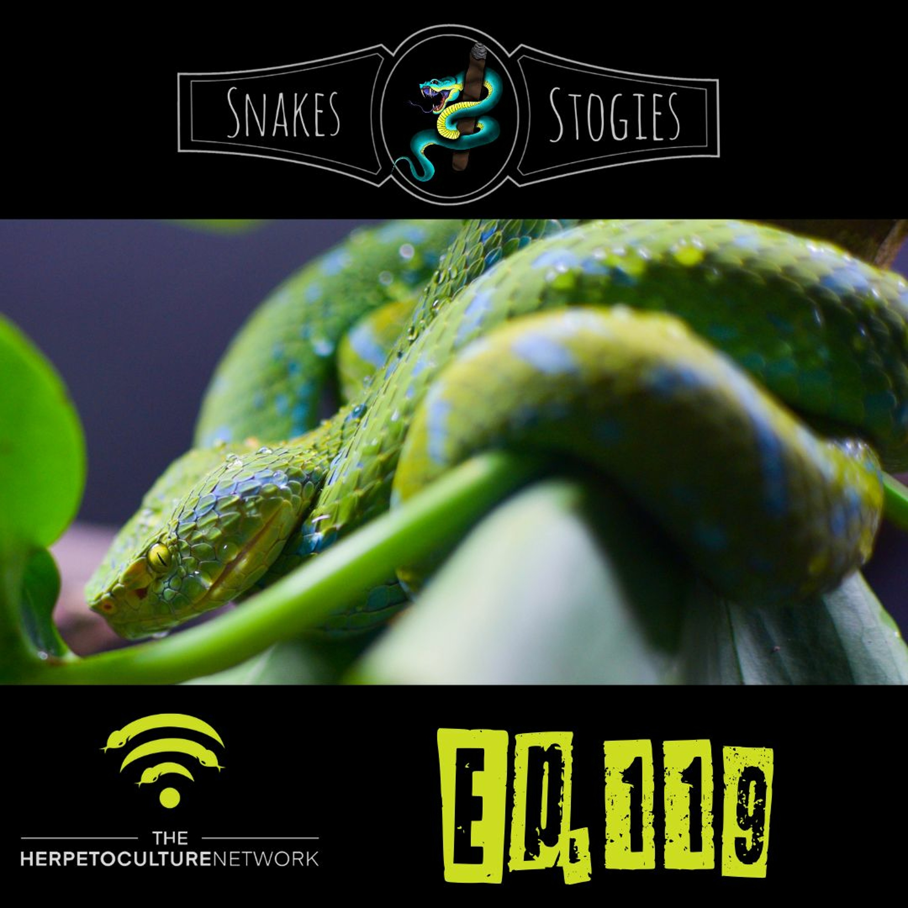 Snakes & Stogies Ep. 119