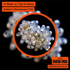 In Water w/ slyn & aiolos - Radio Buena Vida 04.10.25