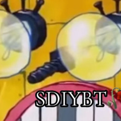 SDIYBT JERSEY