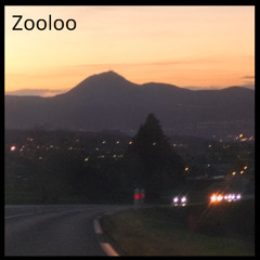 [ Zooloo ] DYB