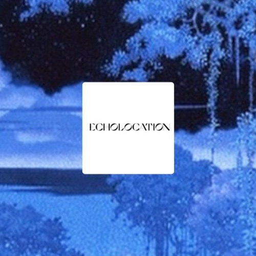 Fleetwood Mac - Dreams (Echolocation Remix)
