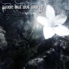 dưới tán cây khô hoa nở . cover tama