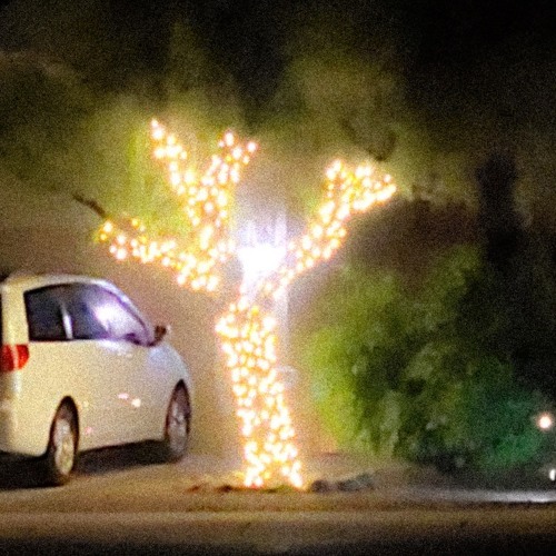 backyard beetle - too close for comfort v2 (prod. cxrter + irby)